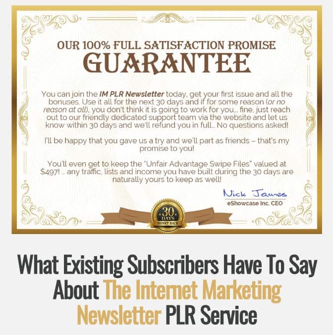 TheinternetMarketingNewsletter Review